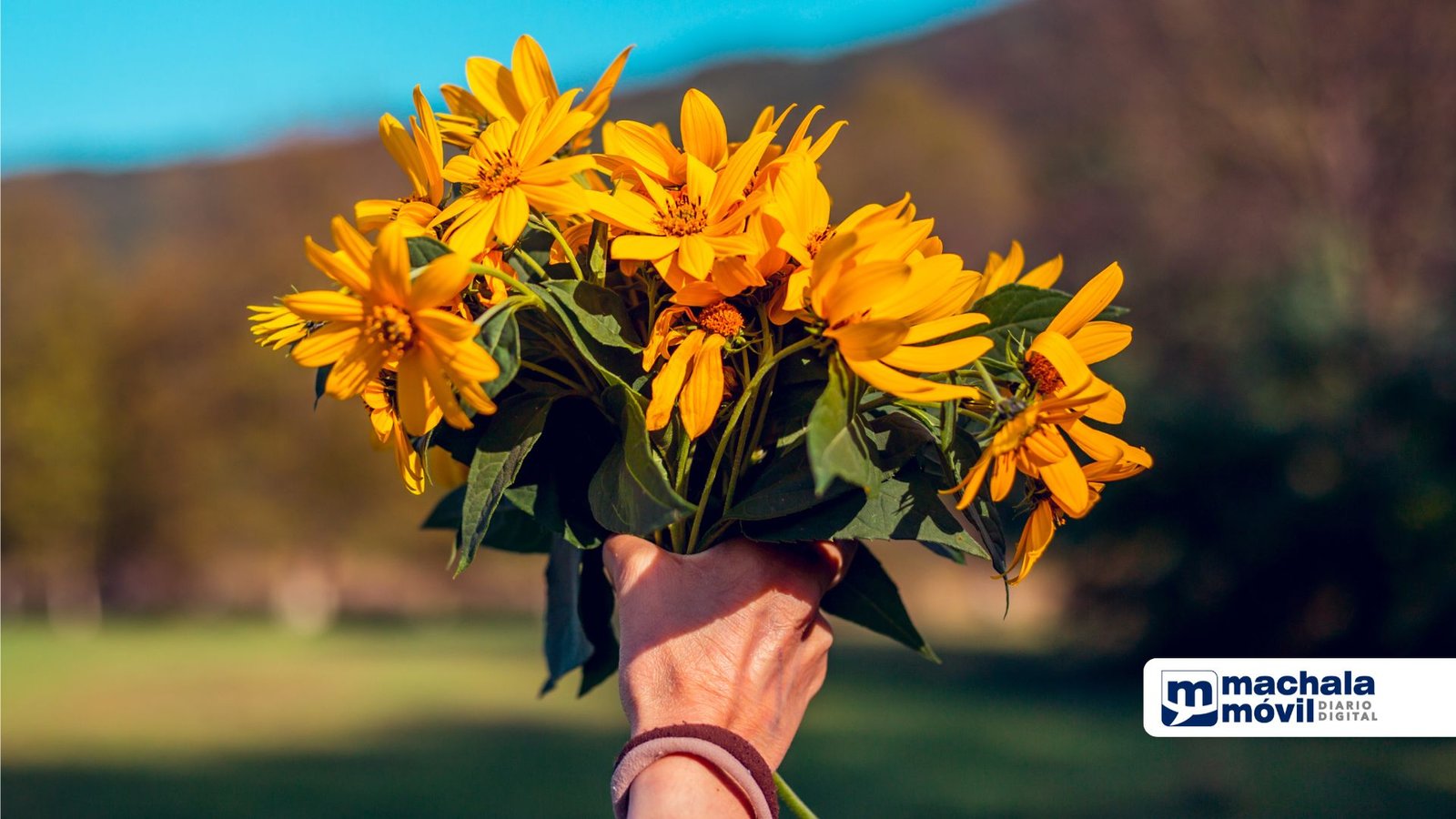 Por Qu Regalar Flores Amarillas Tradici N Argentina Que Se