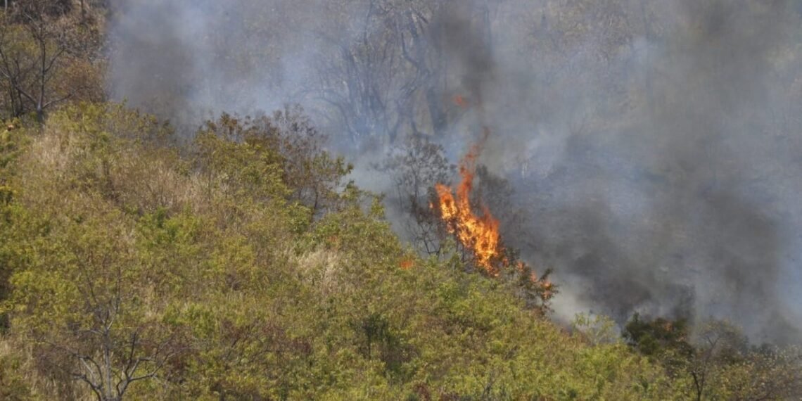 En El Cerro Paraíso, De Guayaquil, Se Registró Un Gran Incendio ...