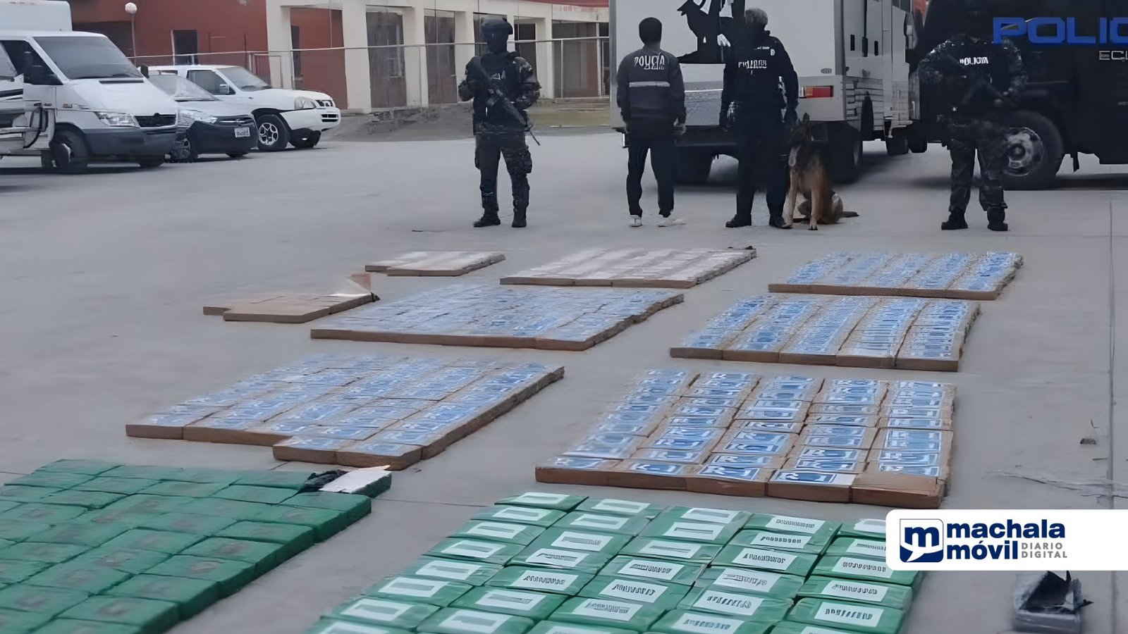 Media tonelada de droga fue decomisada de un contenedor en el puerto de ...