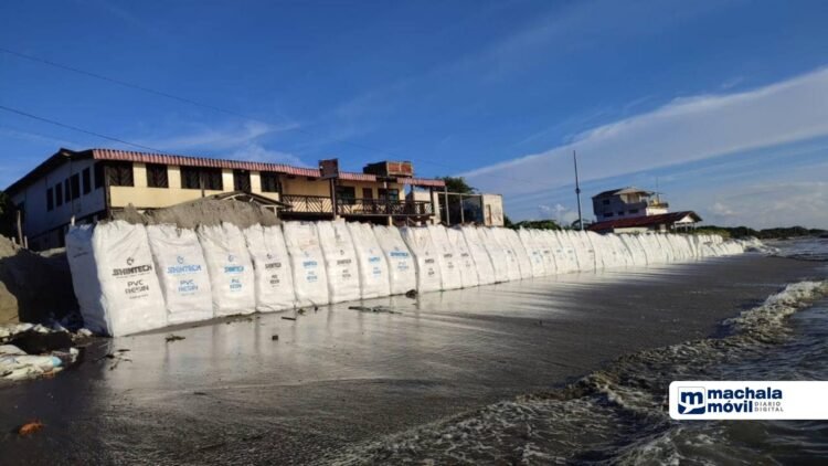 Colocaron tulas en 1km de playa de la isla Jambelí del cantón Santa ...