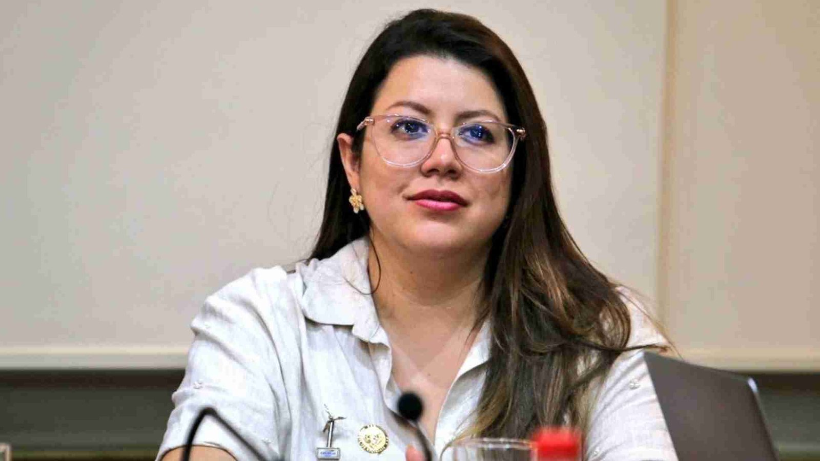 Luz Verde A Juicio Político Contra Andrea Arrobo Exministra De Energía ...