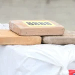 Desarticulan red vinculada a mafias albanesa y polaca que operaba en Ecuador