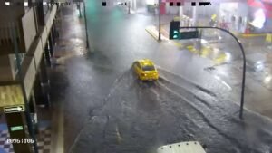 WhatsApp Image 2026-02-19 at 08.23