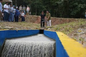 48750b98-3a06-4d7b-b94b-032ae65585fb