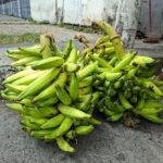 La caída del precio del verde impulsa el consumo y las ventas en Ecuador