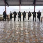 Decomisan 1,2 toneladas de cocaína ocultas en cajas de banano en Machala