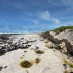Galápagos cierra temporalmente acceso a Tortuga Bay por fuerte oleaje