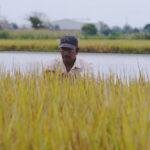 BanEcuador ha entregado créditos para enfrentar efectos del fenómeno de El Niño