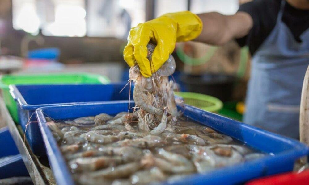 Exportaciones no petroleras no mineras de Ecuador registran caída en el inicio de 2026