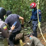 Hallan cadáver en una bocamina vinculada a minería ilegal en Urcuquí