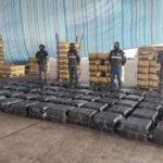 Incautan más de una tonelada de cocaína oculta en un contenedor de banano con destino a Dinamarca